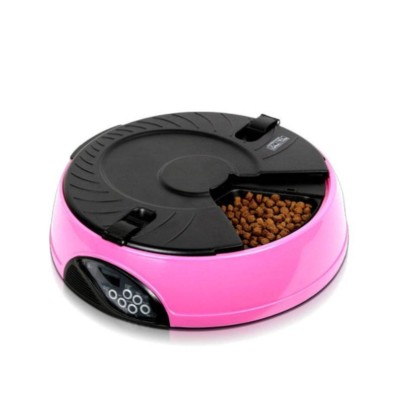 Pet Automatic Feeding Machine - Classy Collective