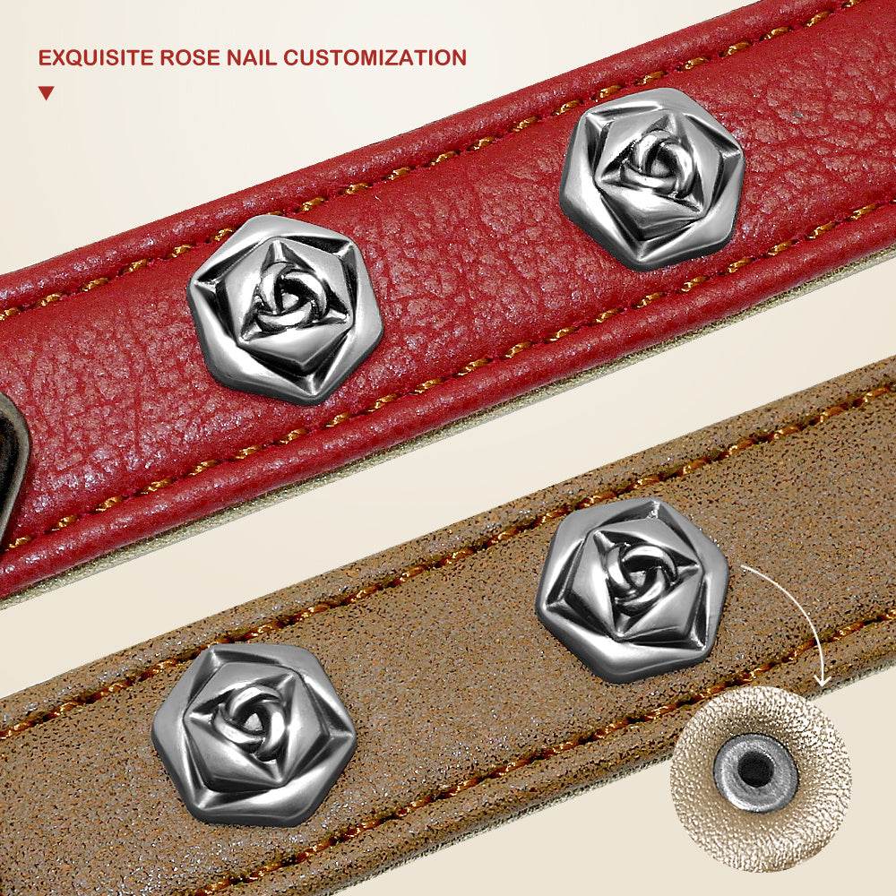 Pet leather collar - Classy Collective