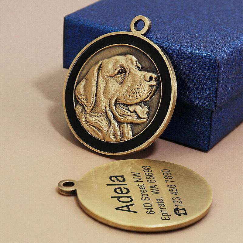 Anti-lost Card Dog Identity Tag- Metal Lettering - Classy Collective