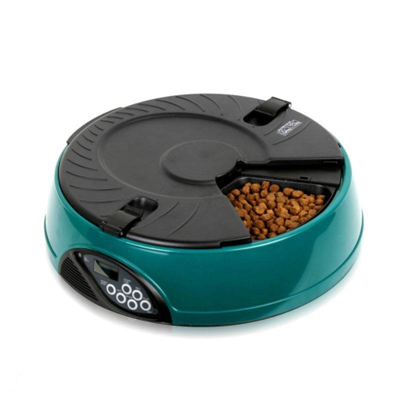 Pet Automatic Feeding Machine - Classy Collective