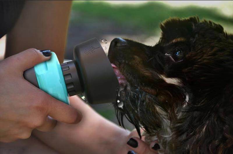 Travel Water Bottle Dog Dispenser - Classy Collective