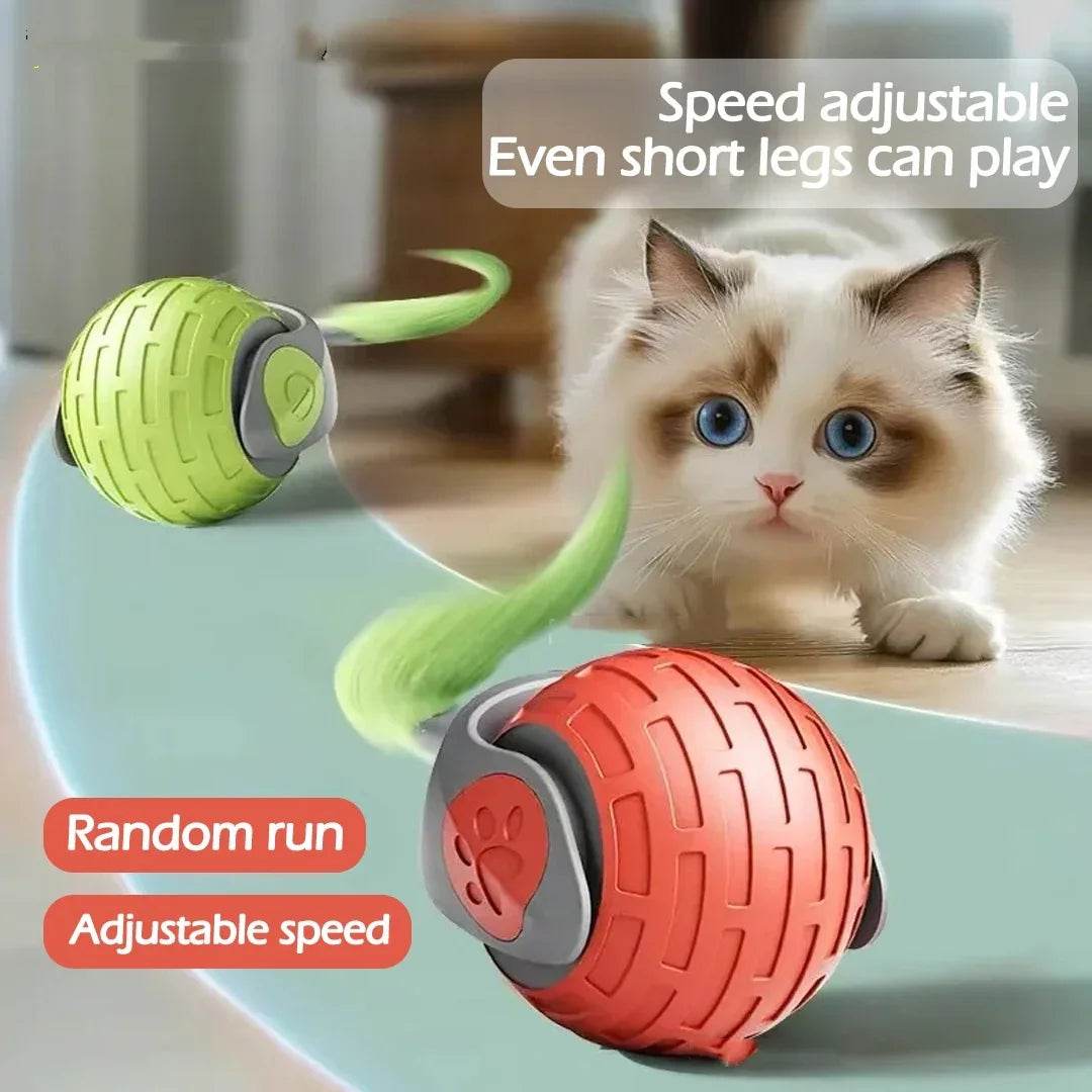 New Interactive Cat Toys Ball Auto Electric Rolling Ball Toys For Cat Kitty Pets Smart Automatic Teaser USB Rechargeable Cat Toy Pet Products - Classy Collective