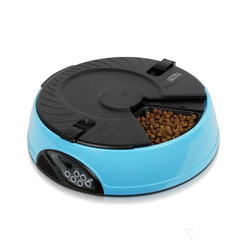 Pet Automatic Feeding Machine - Classy Collective