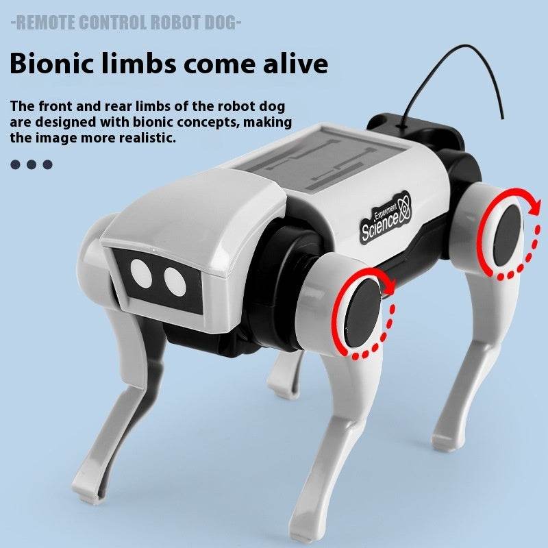 Remote Control Mechanical Dog And Cat 2 In1 Assembled Toy - Classy Collective