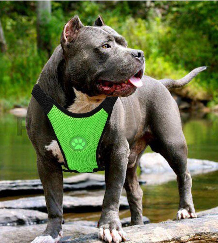 Breathable mesh chest straps for pets - Classy Collective