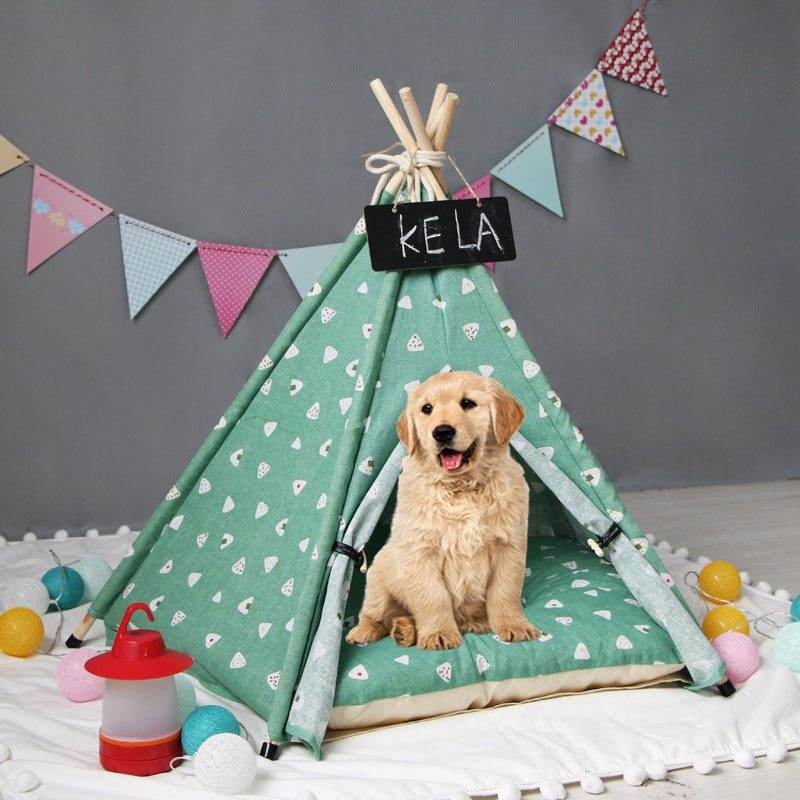 Pet tent kennel - Classy Collective