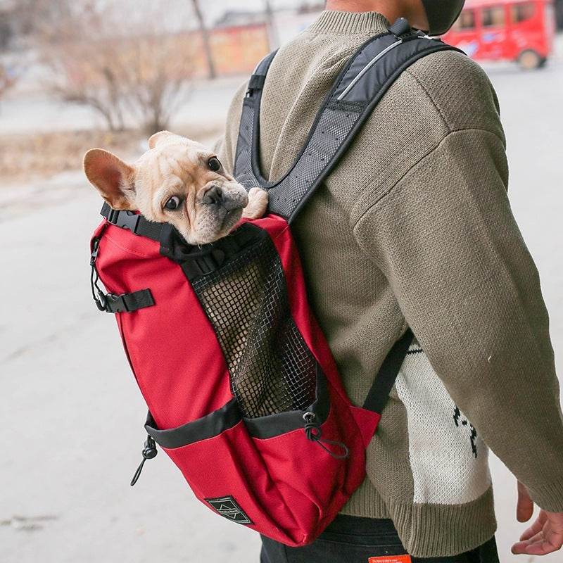 Double Shoulder Portable Travel Backpack Outdoor Dog Carrier - Classy Collective