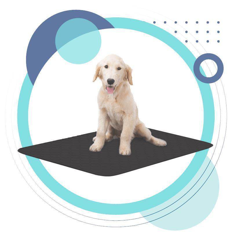 Pets Earthing Mat - Cats & Dogs - Classy Collective