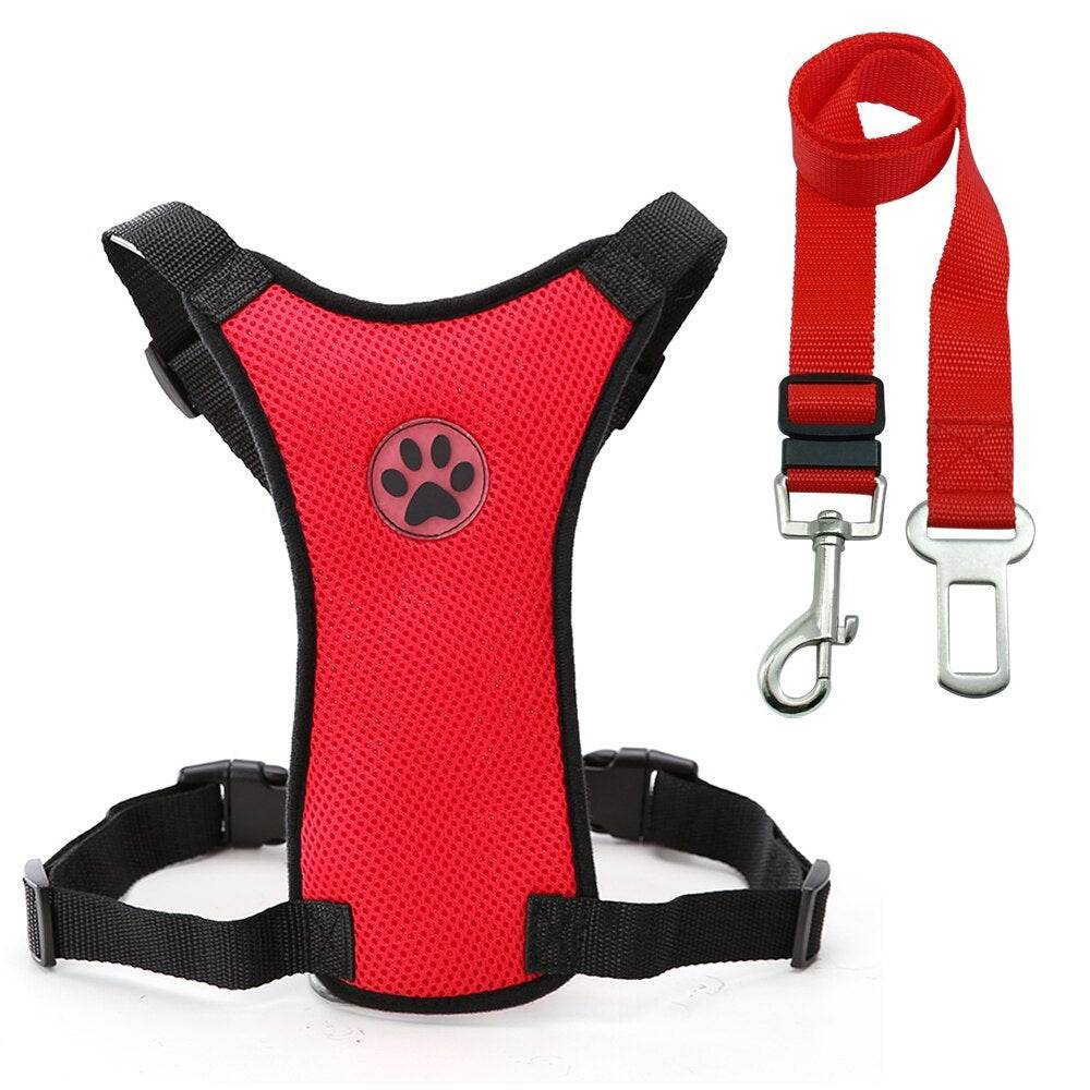 Breathable mesh chest straps for pets - Classy Collective