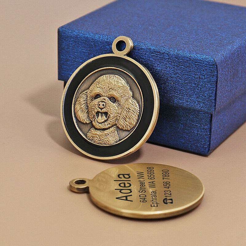 Anti-lost Card Dog Identity Tag- Metal Lettering - Classy Collective