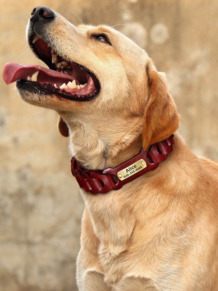 Dog Braided Leather Medium Large Dog Collar - Classy Collective