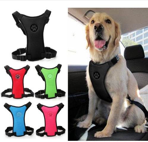Breathable mesh chest straps for pets - Classy Collective