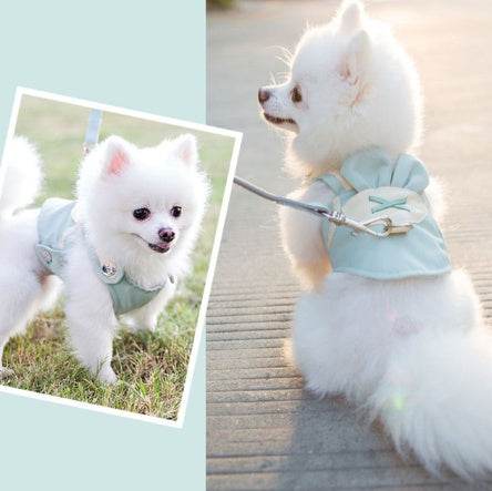 Cute Pet Dog Harness Leash Set - Classy Collective
