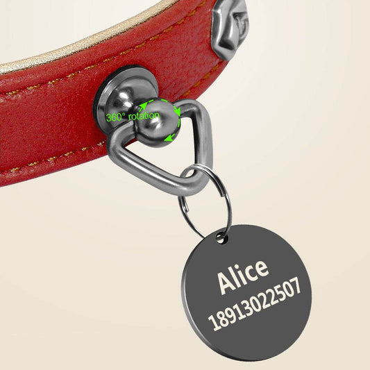 Pet leather collar - Classy Collective