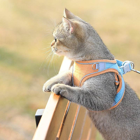 Chest Harness Cute Anti-Stroke Cat Walking Rope - Classy Collective