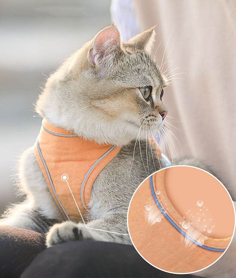 Chest Harness Cute Anti-Stroke Cat Walking Rope - Classy Collective