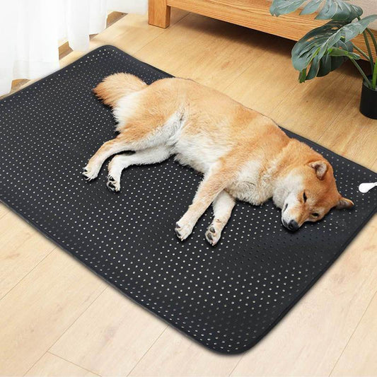 Pets Earthing Mat - Cats & Dogs - Classy Collective