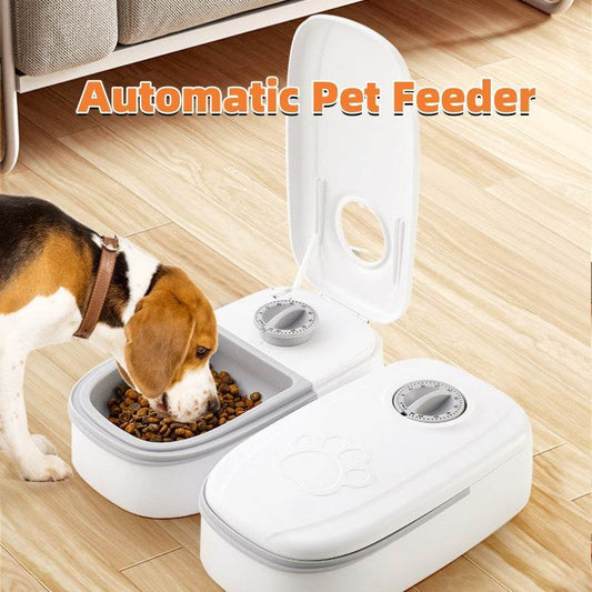 Automatic Pet Feeder Smart Food Dispenser For Cats Dogs- Stainless Steel Bowl - Classy Collective