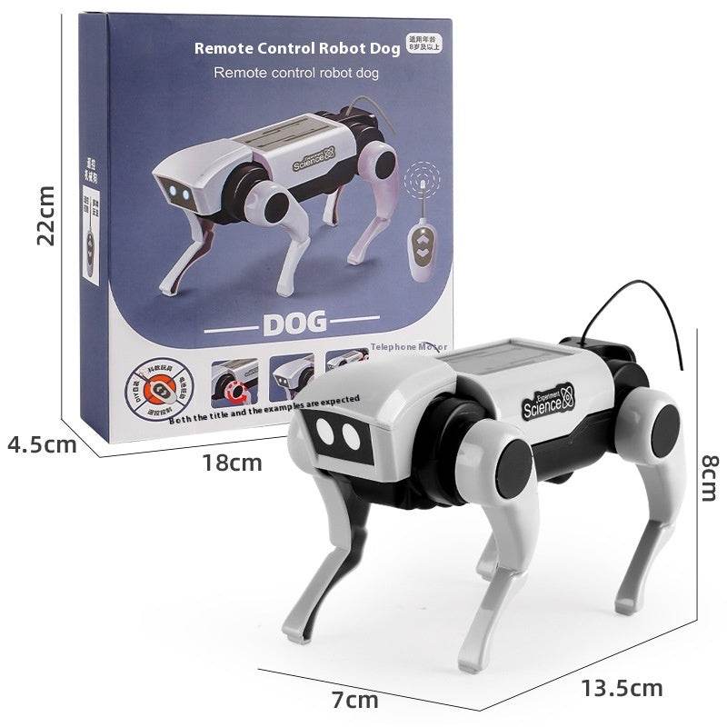 Remote Control Mechanical Dog And Cat 2 In1 Assembled Toy - Classy Collective